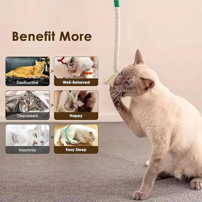 Celery Pets Cat Chew Rope,Catnip-Infused Organic Cotton Chew Rope Toys for Cats, Soft &amp; Safe Dental Chew Toys for Indoor Cats, Self-Play and Teeth Cleaning (6PCS)
