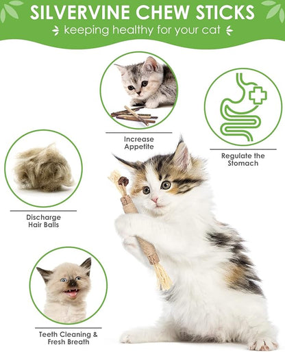 Silvervine Chew Sticks for Cats, 10 Pack Natural Catnip Chew Toys for Kittens Teeth Cleaning, Matatabi Dental Care, Increase Appetite, Calm Cat Anxiety and Stress, Aggressive Chewers Cat Dental Toy