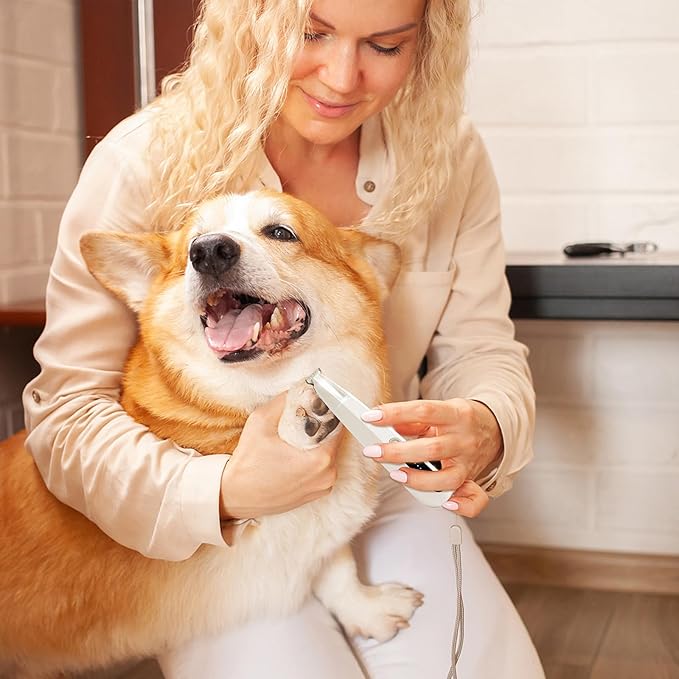 2 Mode Paw Trimmer for Dogs &amp; Cats - Electric Quiet Dog &amp; Cat Grooming Trimmer, Rechargeable Clipper with LED Light, 2 Blades, Waterproof for Paws/Ears/Face