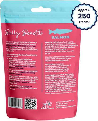 Training Treats for Dogs - Soft Salmon - Low Calorie Dog Training Treats for Sensitive Stomachs with Single Source Premium Protein, Corn Free, &amp; Soy Free Formula - 10 oz