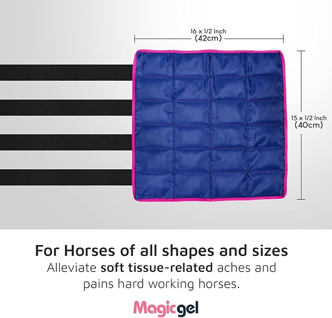 Magic Gel Horse Ice Pack with Carry Case - Twin Ice Boots | Cooling Horse Leg Wraps for Hock, Ankle, Knee, Legs, Boots, and Hooves | Horse Tack, Horse Supplies &amp; Horse Gift Ideas for Horse Lovers