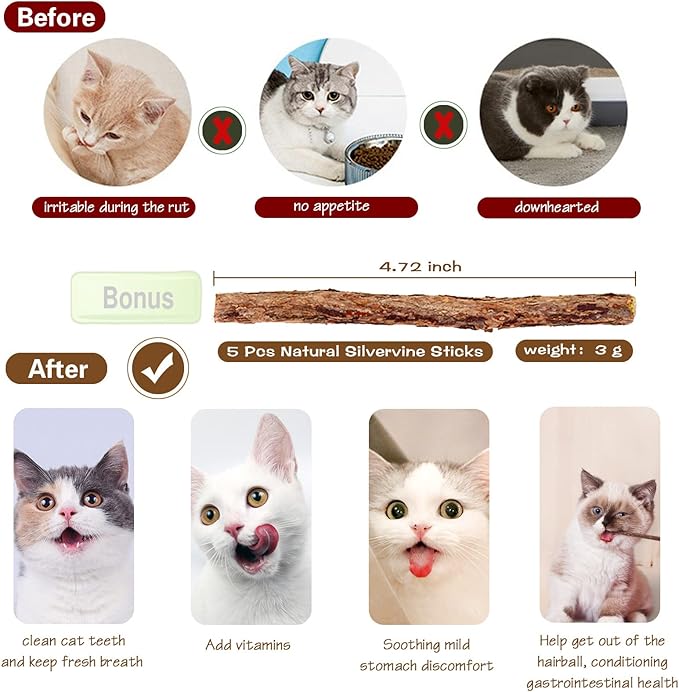 Natural Wood Cat Wand Toy with Ribbon Fish Teaser - 3pcs, 16 Inch, Indoor Cat Exerciser &amp; Playing Kitten Toy, Bonus 5pcs Catnip Sticks for Teeth Cleaning