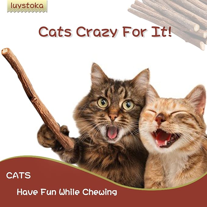 Cat Toys - Silvervine &amp; Matatabi Catnip Toys, 10PCS Indoor Kitty Chew Sticks &amp; Wand Toys for Bored Cats
