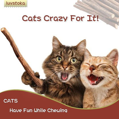 Silvervine Sticks for Cats, 30PCS Kitten Toys Catnip Toys Matatabi Silvervine Sticks Kitty Chew Toys Wooden Stick Kitten Teething Toys Molar Suitable for Cats of All Ages