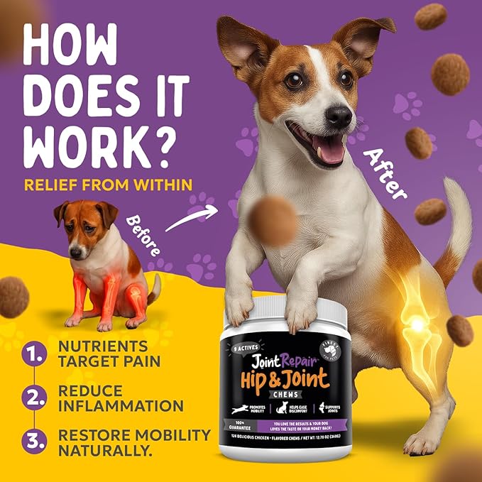 Joint Repair Hip and Joint Chews for Dogs Glucosamine, Chondroitin, MSM, Hemp, Omega 3 &amp; Turmeric for Dog Joint Support, Mobility &amp; Pain Relief - (120 Chicken Chews, Made in USA)