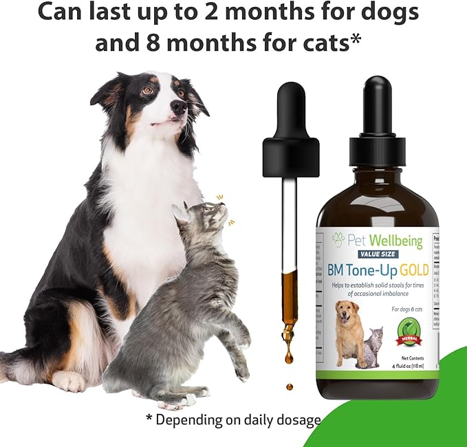 Pet Wellbeing BM Tone-Up Gold for Dogs &amp; Cats - Supports Healthy Digestive Function, Solid Stools, Normal Bowel Movements, Bayberry - Veterinarian-Formulated Herbal Supplement 4 oz (118 ml)