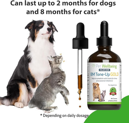 Pet Wellbeing BM Tone-Up Gold for Dogs &amp; Cats - Supports Healthy Digestive Function, Solid Stools, Normal Bowel Movements, Bayberry - Veterinarian-Formulated Herbal Supplement 4 oz (118 ml)