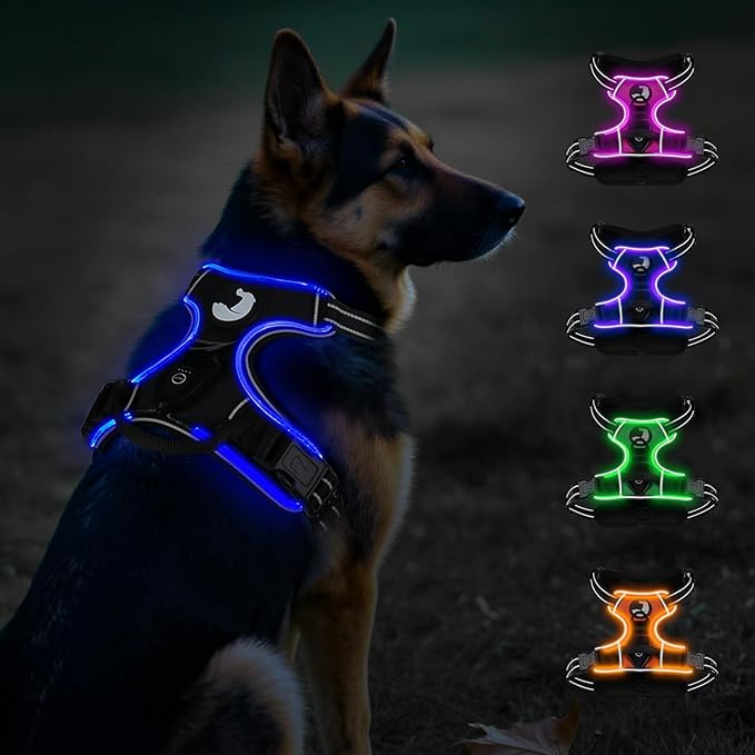 Taglory Light Up Dog Harness, Rechargeable No Pull Dog Vest with 3 Lightning Modes, Reflective Dog Harness with 2 Leash Clips &amp; 4 Adjustable Slide Strips for Large Dogs, Black-Blue, XL