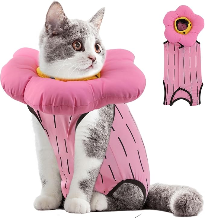 EMUST Cute Cat Recovery Suit &amp; Cone Collar Set - Soft, Adjustable Flower Collar for Female Kittens Under 4lb (Pink, S)