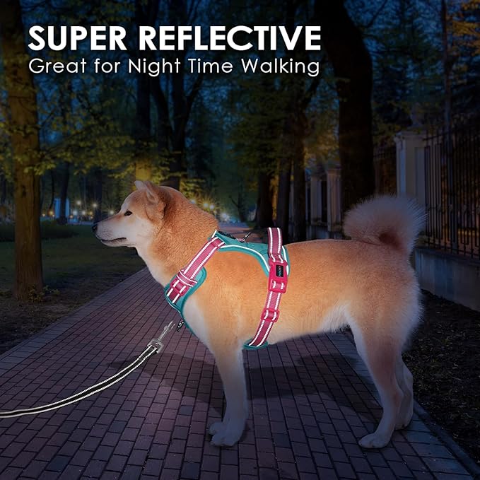 PHOEPET No Pull Dog Harness, Unique Colors Reflective Adjustable Dog Vest, with Soft Training Handle Metal Clips for Small Medium Large Dogs (Mint Green Base &amp; Pink Straps,M)