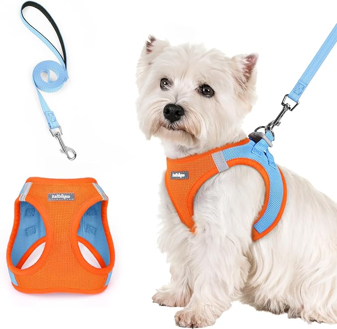rabbitgoo Dog Harness Small Sized and Leash Set, Step in Soft Light Puppy Vest, Breathable Mesh Pet Harness, Reflective for Safe Easy Walking, Blue &amp; Orange S