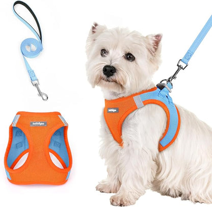 rabbitgoo Dog Harness Small Sized and Leash Set, Step in Soft Light Puppy Vest, Breathable Mesh Pet Harness, Reflective for Safe Easy Walking, Blue &amp; Orange S