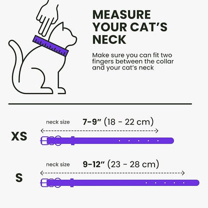 BRONZEDOG Leather Cat Collar with Removable Bells Non Breakaway Kitten QR Tag for Girl Boy (9" - 12" Cats/Mini Dogs, Purple &amp; Gold)