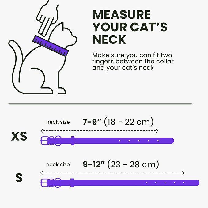 BRONZEDOG Leather Cat Collar with Removable Bells Non Breakaway Kitten QR Tag for Girl Boy (7" - 9" for Cats, Purple &amp; Gold)