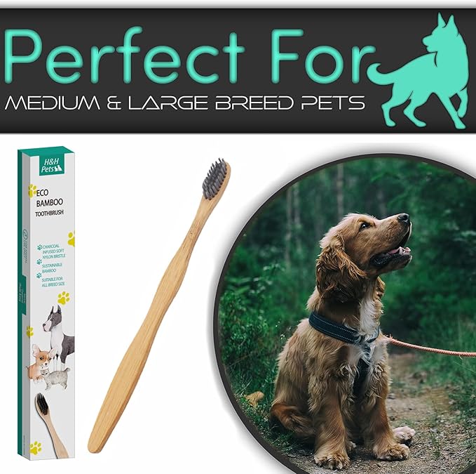 H&amp;H Pets Bamboo Toothbrush Set for Dogs and Cats - Ultra Soft Bristles &amp; Biodegradable Wooden Toothbrush, Puppy Supplies, Dog Dental Set, Eco-Friendly Pet Supplies (Large; 8-Count Pack)