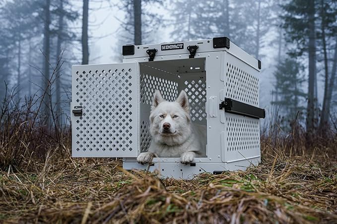Impact Collapsible Dog Crate - Foldable Hard Crate for Medium Dogs - Heavy Duty Travel Kennel with Powder-Coated Aluminum - Quick Setup for Indoor &amp; Outdoor (White, 30" (30.5" L x 20.5" W x 26" H))