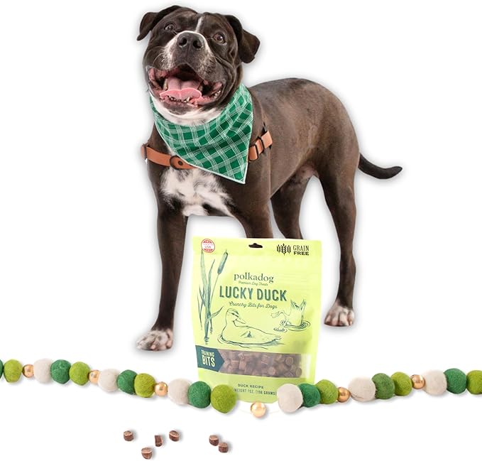Polkadog Lucky Duck Crunchy Training Bits – All Natural, Grain Free Healthy Training Treats for Dogs. Handcrafted &amp; Made in USA. Great for Dogs with Allergies or Sensitive Stomachs – 7oz