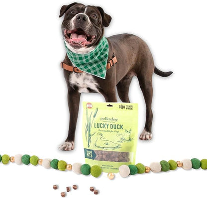 Polkadog Lucky Duck Crunchy Training Bits – All Natural, Grain Free Healthy Training Treats for Dogs. Handcrafted &amp; Made in USA. Great for Dogs with Allergies or Sensitive Stomachs – 7oz