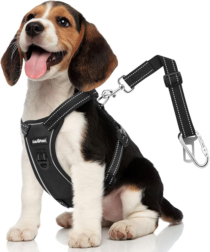 Dog Seat Belt Harness for Car, Dog Car Harness Adjustable Mesh Breathable &amp; Dogs Seatbelt Safety Tether with Elastic Bungee for Small Medium Large Pets(Carbon Black, S)