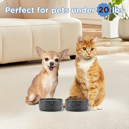 SPUNKYJUNKY Ceramic Dog and Cat Bowls 2 Pack, 5.1&