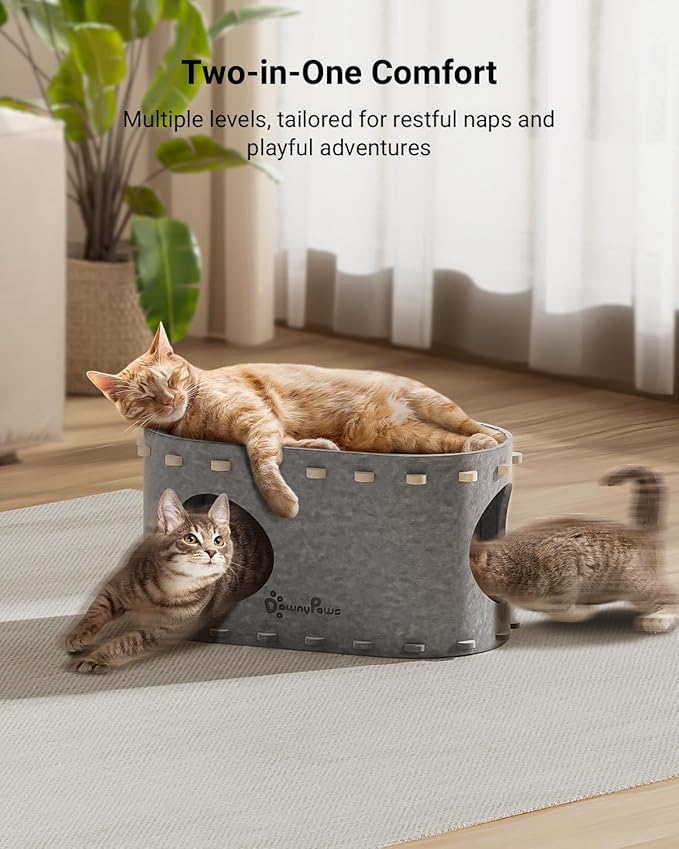 DownyPaws Cat House for Indoor Cats, Cat Bed Cave for Multiple &amp; Large Cats Up to 22 Lbs, Scratch Resistant, Foldable Peekaboo Kitten Caves Tunnel Enclosed Bed, PeekaPurr, Light Gray