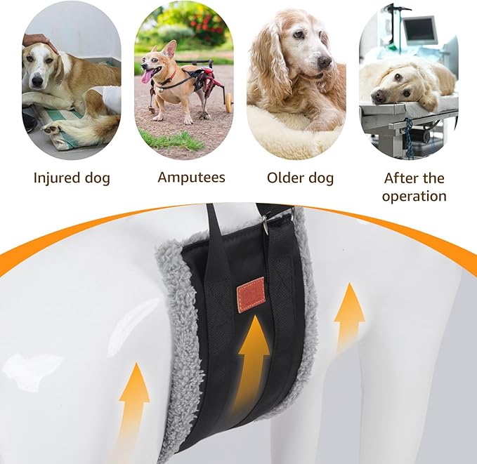 Adjustable Dog Lift Harness, Dog Sling for Large Dogs Hind Leg Support, Soft Lift Support Helps Senior, Injured, Disabled and After ACL Surgery Dogs-Black &amp; Grey (Large)