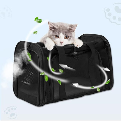 Roaringkitty Travel in Style: Portable Pet Carrier for Small Pets up to 15 Lbs- Airline Approved, Collapsible &amp; Comfortable cat/Puppy Soft Sided Bag (Black)