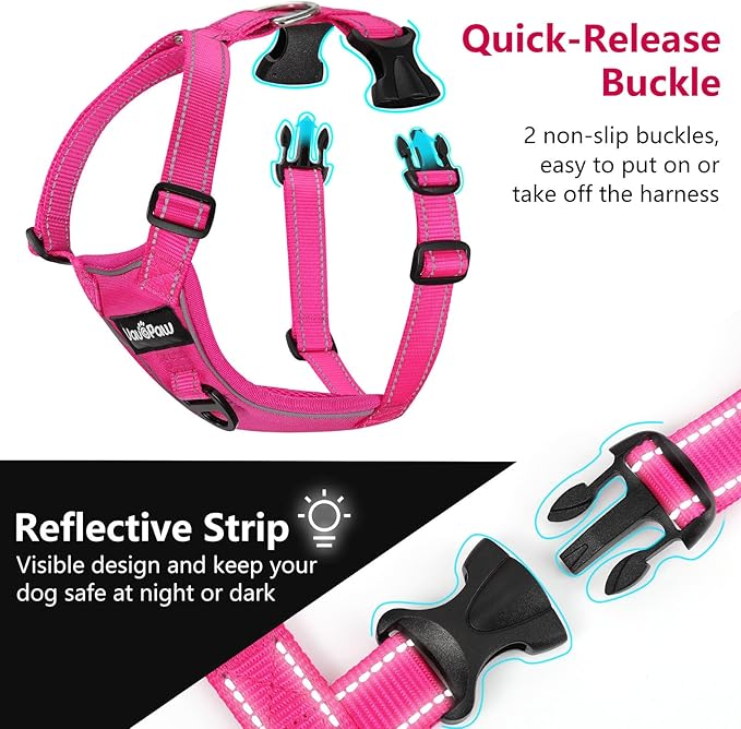 Dog Seat Belt Harness for Car, Dog Car Harness Adjustable Mesh Breathable &amp; Dogs Seatbelt Safety Tether with Elastic Bungee for Small Medium Large Pets(Rose, S)