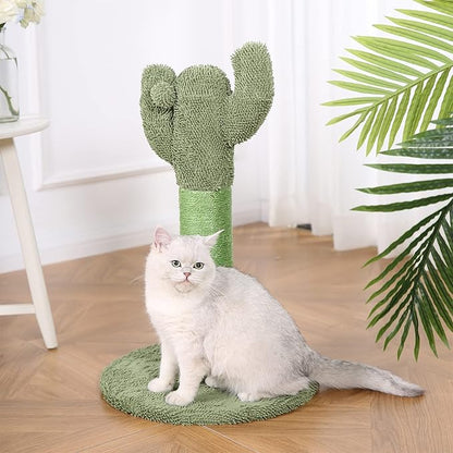 Amazon Basics Cat Scratcher - Indoor Cactus Single Cat &amp; Kittens Scratching Post with Dangling Ball, Medium (25.6"H) - Green