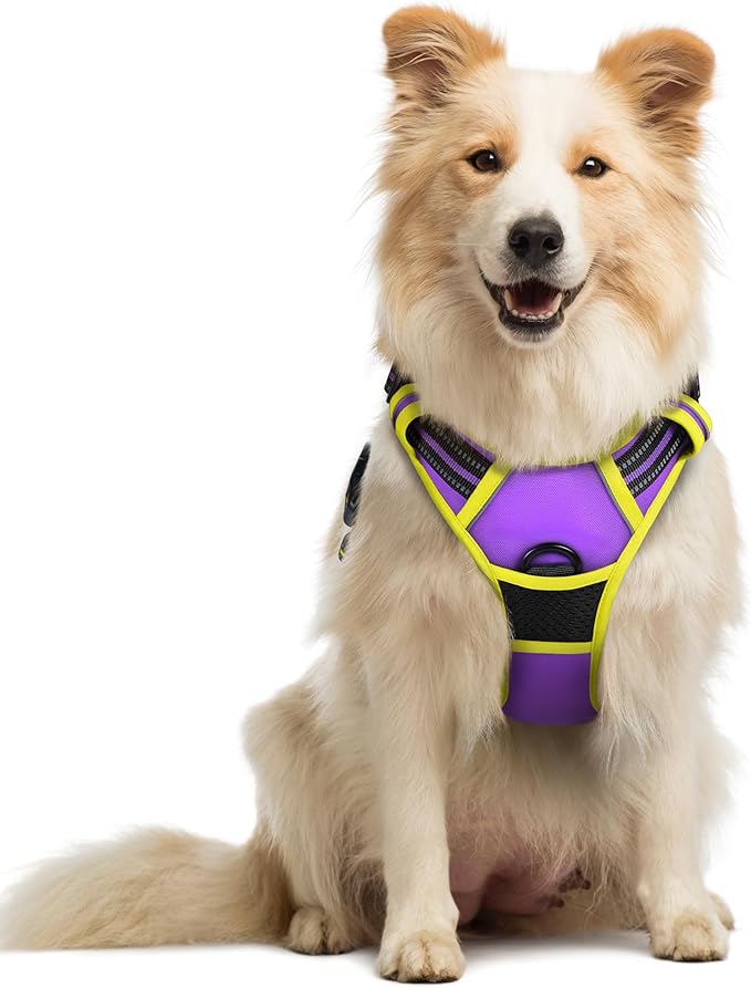 rabbitgoo Dog Harness No Pull with 2 Leash Clips, Adjustable Soft Padded, Reflective Oxford No Choke Pet Vest with Easy Control Handle for Medium Sized Dogs, Purple &amp; Yellow, M