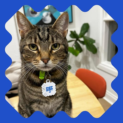 NATPAT Pet Zen Calming Patches for Dogs &amp; Cats – Non-Medicated Effective Stress Relief for Travel, Fireworks &amp; Separation Anxiety - Long Lasting &amp; Non-Toxic (24 Patches) - Locket Sold separetely