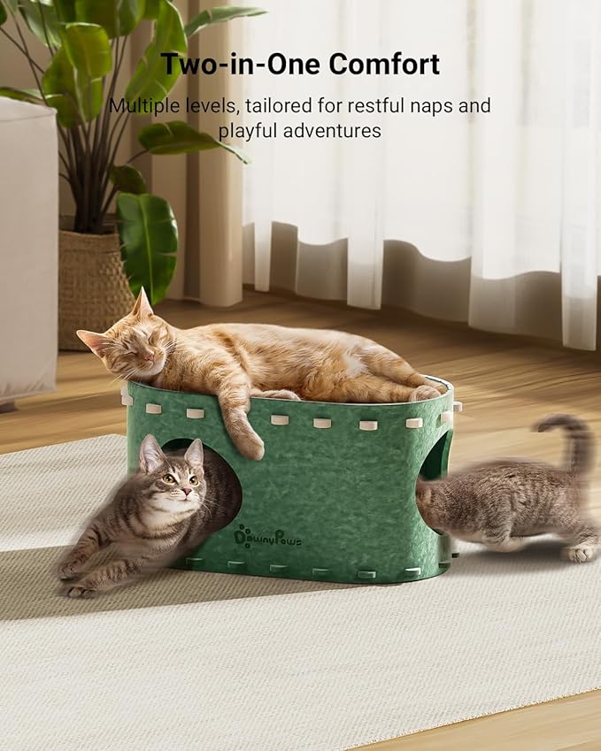 DownyPaws Cat House for Indoor Cats, Cat Bed Cave for Multiple &amp; Large Cats Up to 22 Lbs, Scratch Resistant Peekaboo Cat Caves, Foldable Tunnel Enclosed Bed, PeekaPurr, Forest