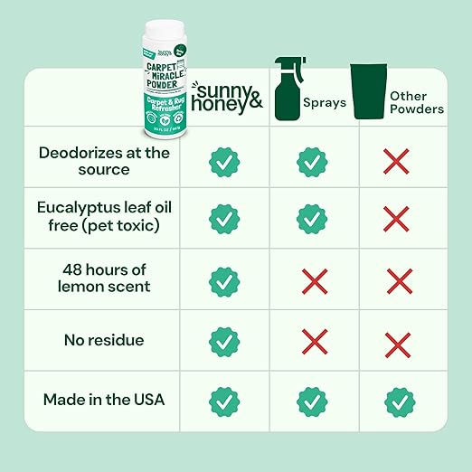Sunny &amp; Honey Carpet Deodorizer Powder - 20 Oz, Spring Mint - Odor Eliminator &amp; Rug Freshener Powder for Pets &amp; Kids