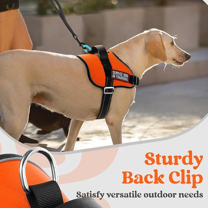 rabbitgoo Dog Harness Medium Sized, Easy On Pet Vest with One Buckle, No Pull Adjustable Service Harness with D-Ring &amp; Handle, Reflective for Safety Walking, Training, Orange, M