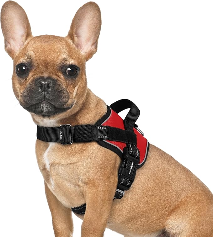 rabbitgoo Dog Harness for Small, Easy On Pet Vest with One Buckle, No Pull Adjustable Service Harness with D-Ring &amp; Handle, Reflective for Safety Walking, Training, Red, S