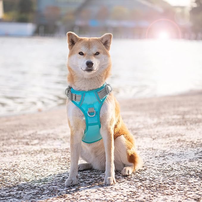 PHOEPET No Pull Dog Harness, Unique Colors Reflective Adjustable Dog Vest, with Soft Training Handle Metal Clips for Small Medium Large Dogs (Mint Green Base &amp; Grey Straps,L)