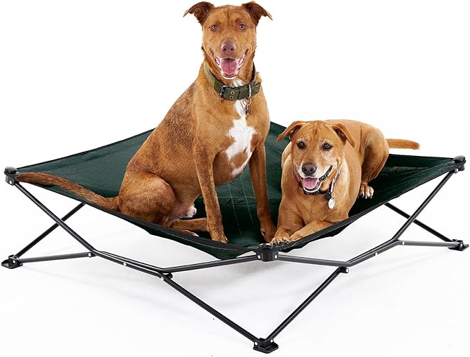 Coolaroo On-The-Go Elevated Dog Bed - Foldable Pop-Up Travel Dog Bed with Breathable, Moisture-Resistant Fabric, Carry Bag Included, Lightweight &amp; Portable, Brunswick Green, Extra Large