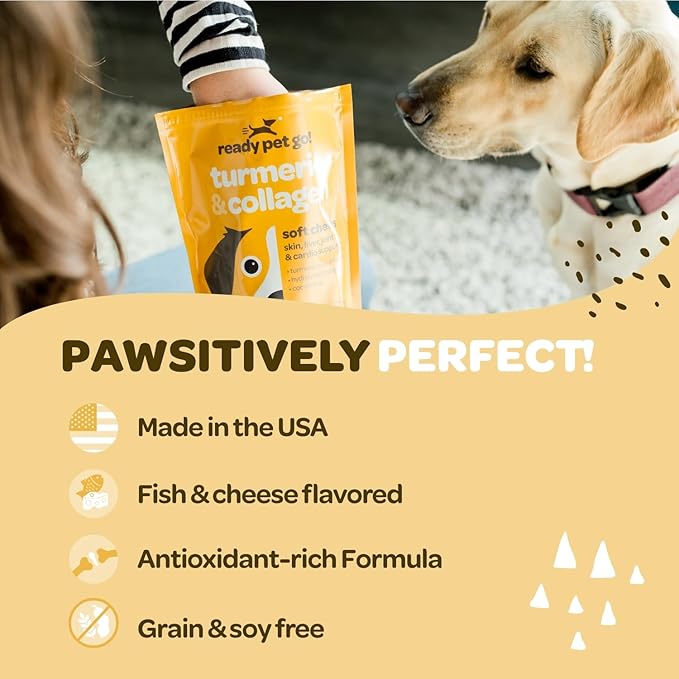 Turmeric for Dogs Soft Chews | Hip and Joint Chews for Dogs Comfort &amp; Mobility with Collagen for Dogs | Dog Joint Supplement for All Ages Breeds &amp; Sizes | NASC Certified &amp; Made in The USA | 90 Chews