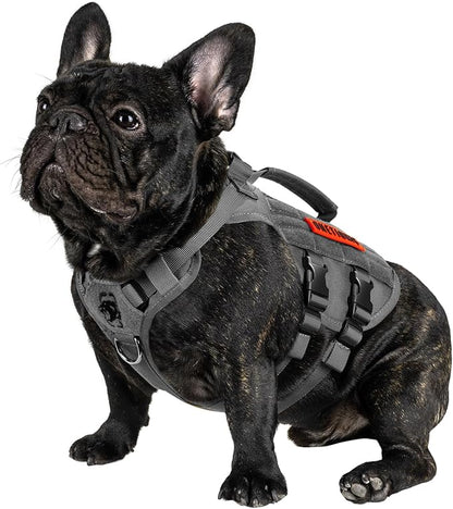 OneTigris Tactical Dog Harness for Small Dogs, No Pull Small Dog Vest Harness with Handles Breathable Military Dogs Molle Vests, Harness for Walking Hiking Training (Grey, XS)
