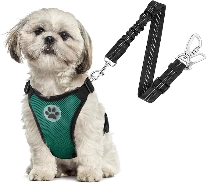 SlowTon Dog Seat Belt Harness for Car, Dog Car Harness Adjustable Mesh Breathable &amp; Dog Seatbelt Safety Tether with Elastic Bungee for Small Medium Large Pets(Green, Double Clip, XS)