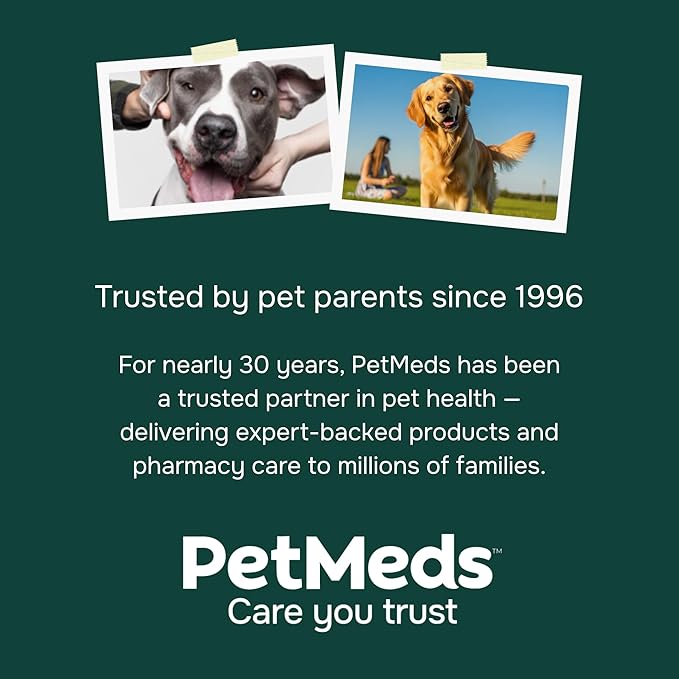 PetMeds Calm Supplement for Dogs - Anxiety &amp; Stress Relief with Vitamins, Theanine &amp; Lemon Balm - Supports Dogs During Travel, Thunder &amp; Separation - Beef &amp; Sweet Potato Flavor - 60 Soft Chews