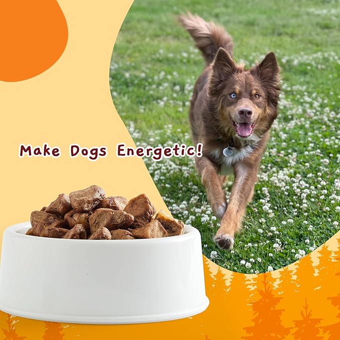Jungle Calling Freeze Dried Cat &amp; Dog Treats, Freeze Dried Chicken Hearts for Cats &amp; Dogs, High Protein Single Ingredient Chicken Heart Treats, Grain Free Pet Training Treats (Chicken Hearts, 2.3 oz)