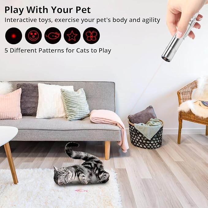 Cat Toy Pointer for Indoor Cats, 2 Pieces, USB Rechargeable Kitten Toys with 7 Adjustable Patterns, Interactive Chase Toys for Indoor Cats &amp; Dogs, Training &amp; Exercise Fun