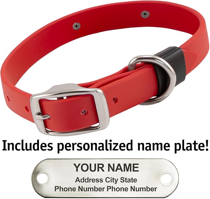 Biothane Custom Dog Collar – Waterproof, Stink-Proof Personalized Collar with Name &amp; Phone Number – Durable, Many Sizes and Colors – Assembled in USA (Cherry Red)