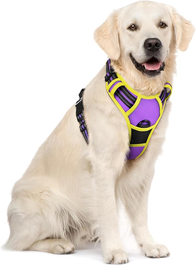 rabbitgoo Dog Harness No Pull with 2 Leash Clips, Adjustable Soft Padded, Reflective Oxford No Choke Pet Vest with Easy Control Handle for Large Dogs, Purple &amp; Yellow, XL