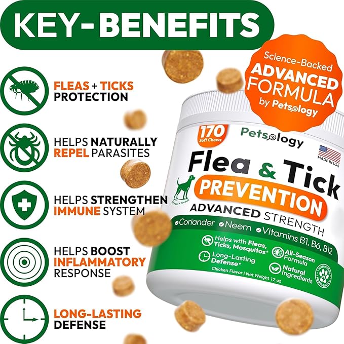 (2 Pack) Flea and Tick Prevention for Dogs Pills - 340 Chews - Natural Dog Flea &amp; Tick Control - Oral Defense Treatment for Dogs Supplement - Vet Formulated - All Breeds &amp; Ages - Made in USA