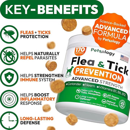 (2 Pack) Flea and Tick Prevention for Dogs Pills - 340 Chews - Natural Dog Flea &amp; Tick Control - Oral Defense Treatment for Dogs Supplement - Vet Formulated - All Breeds &amp; Ages - Made in USA