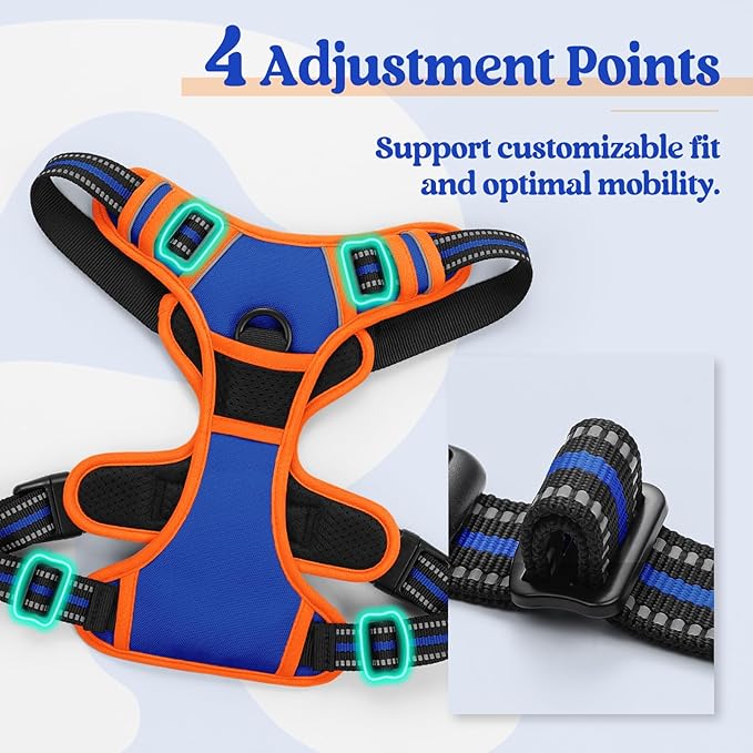 rabbitgoo Dog Harness No Pull with 2 Leash Clips, Adjustable Soft Padded, Reflective Oxford No Choke Pet Vest with Easy Control Handle for Medium Sized Dogs, Blue &amp; Orange, M