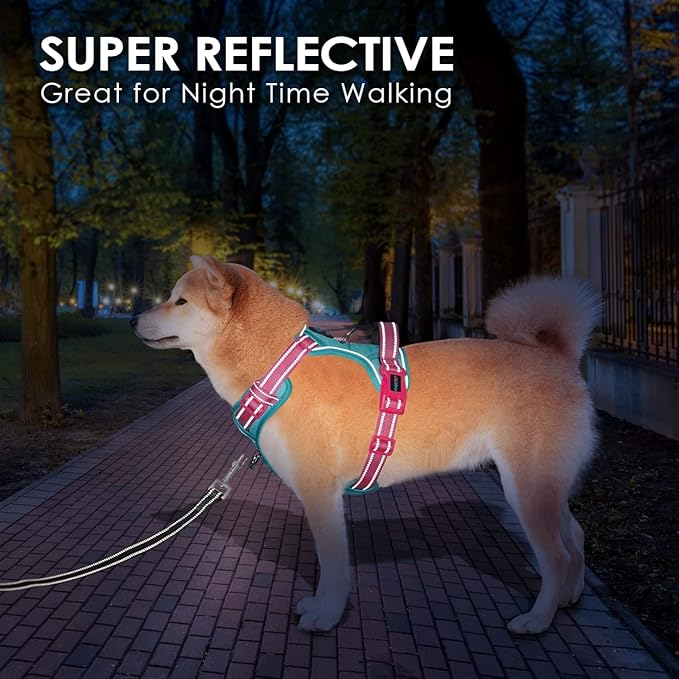 PHOEPET No Pull Dog Harness, Unique Colors Reflective Adjustable Dog Vest, with Soft Training Handle Metal Clips for Small Medium Large Dogs (Mint Green Base &amp; Pink Straps,XS)