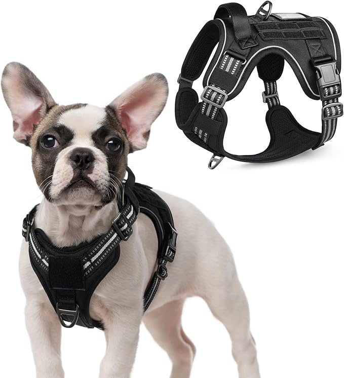 rabbitgoo Tactical Dog Harness for Small Dogs, No Pull Military Service Vest with Handle &amp; Molle, Easy Control for Training Walking, Adjustable Reflective Straps, Black, S